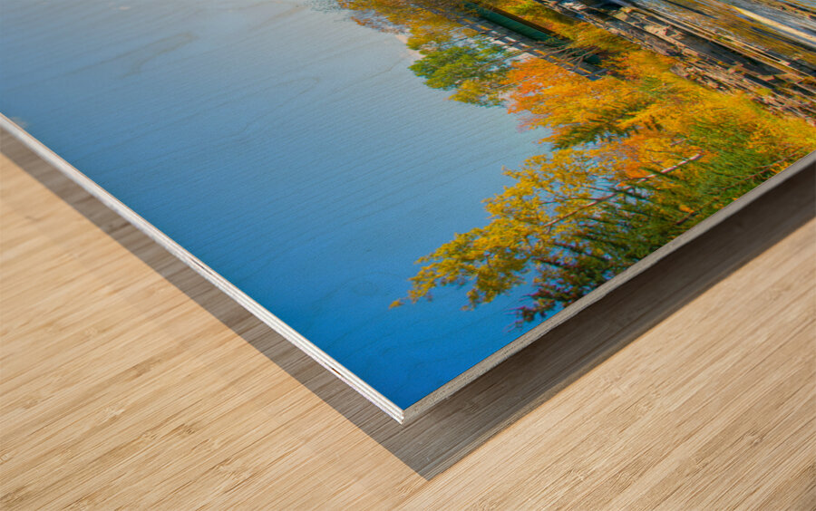 JBS 7000  Wood print