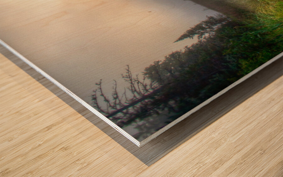 JBS 2558  Wood print