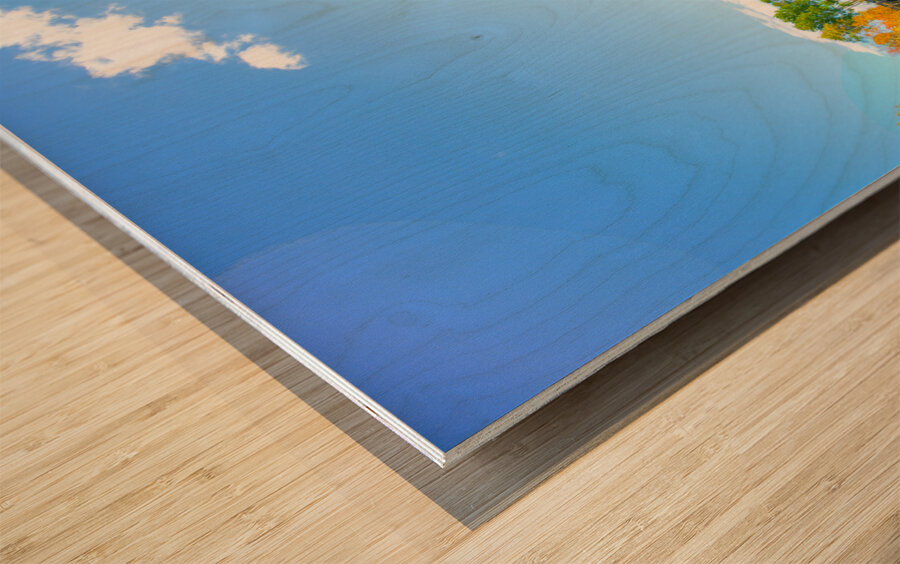 JBS 6991  Wood print