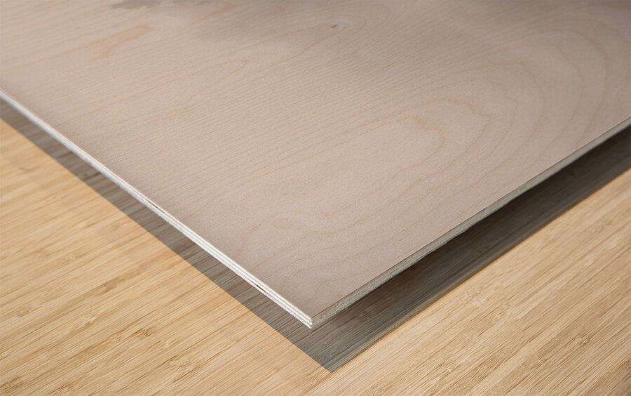 DSC 5615  Wood print