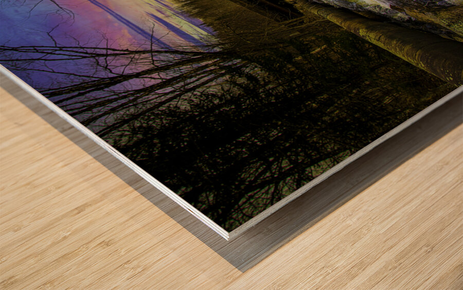 JBS 9699  Wood print