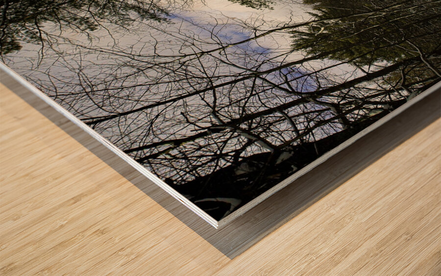 JBS 5227 16x20 Wood print