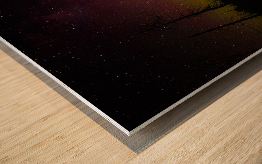 JBS 1455 2 Wood print