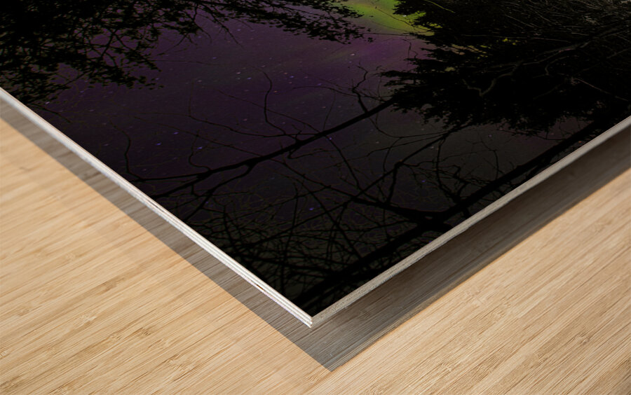 JBS 5199  Wood print