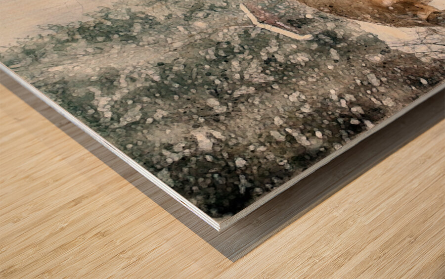 JBS 3204 2 Abstract Wood print