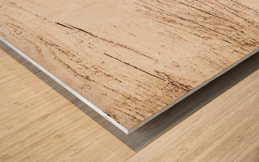 Cow Moose Abstract Wood print