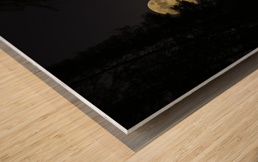 JBS 2066  Wood print