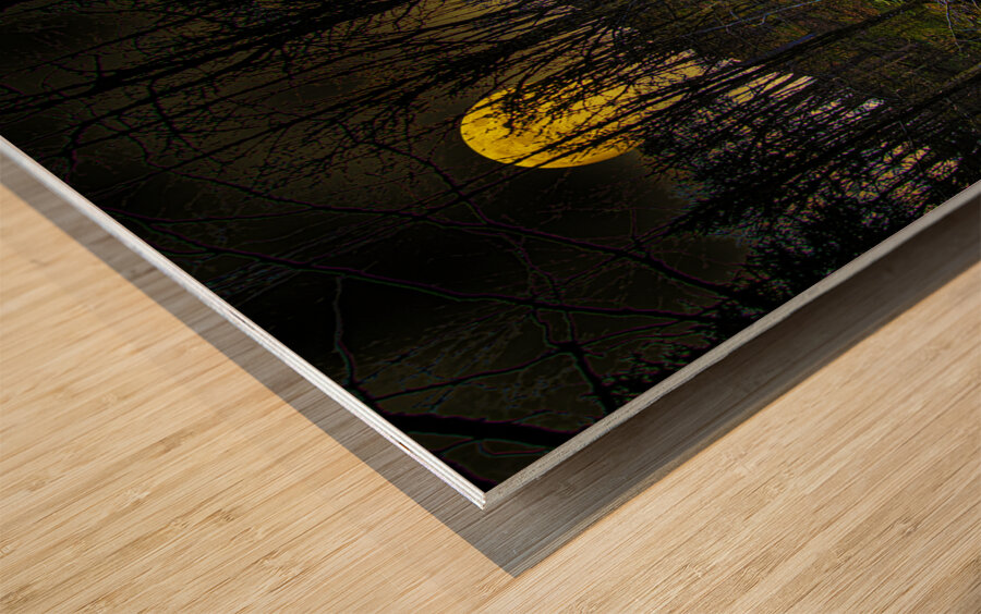 JBS 9682  Wood print