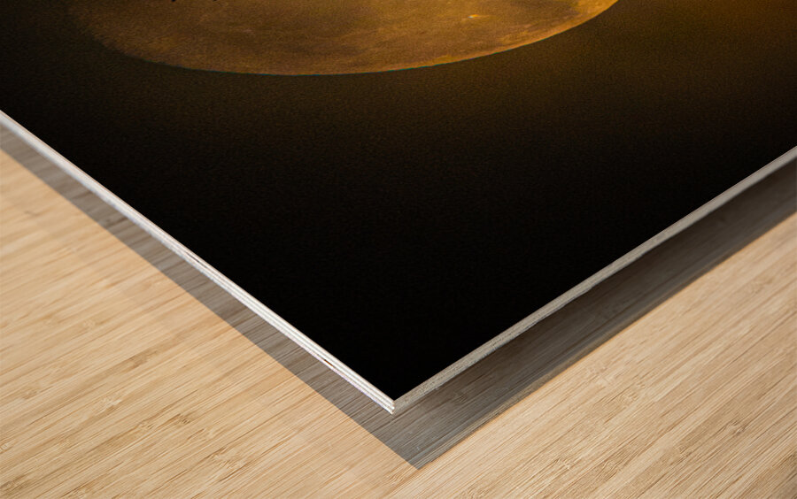 JBS 9574  Wood print