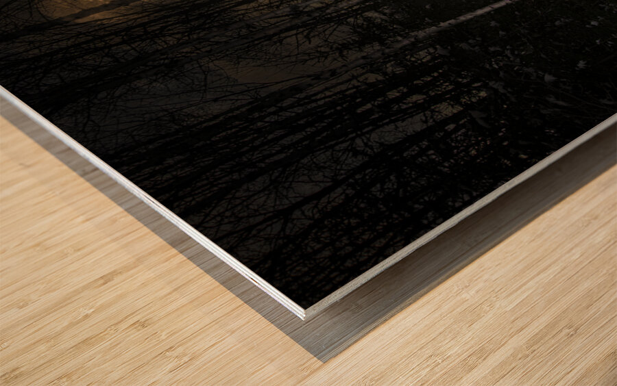 JBS 9973  Wood print