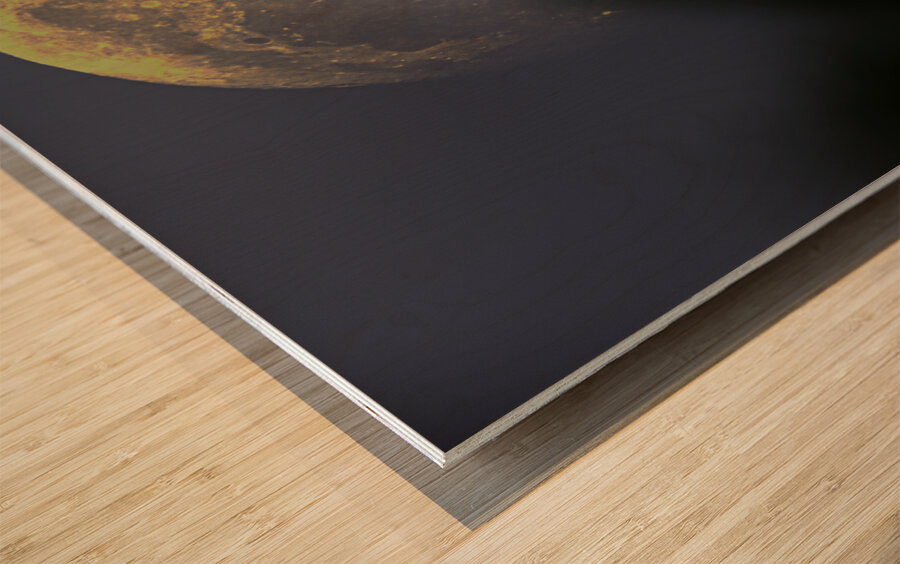 JBS 4981  Wood print