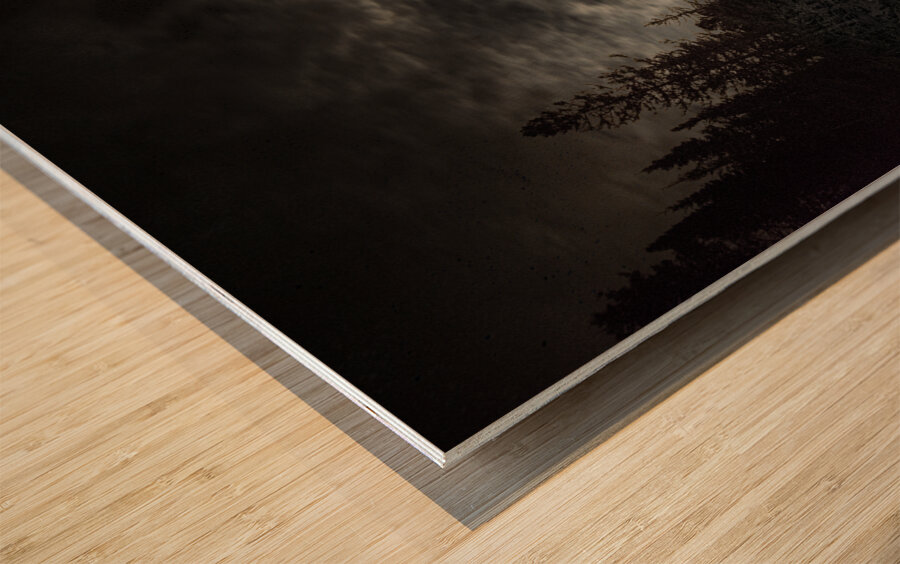 JBS 9706  Wood print