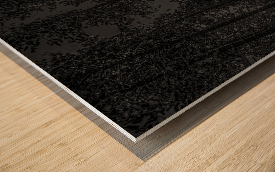 NIGHTWOODS Wood print