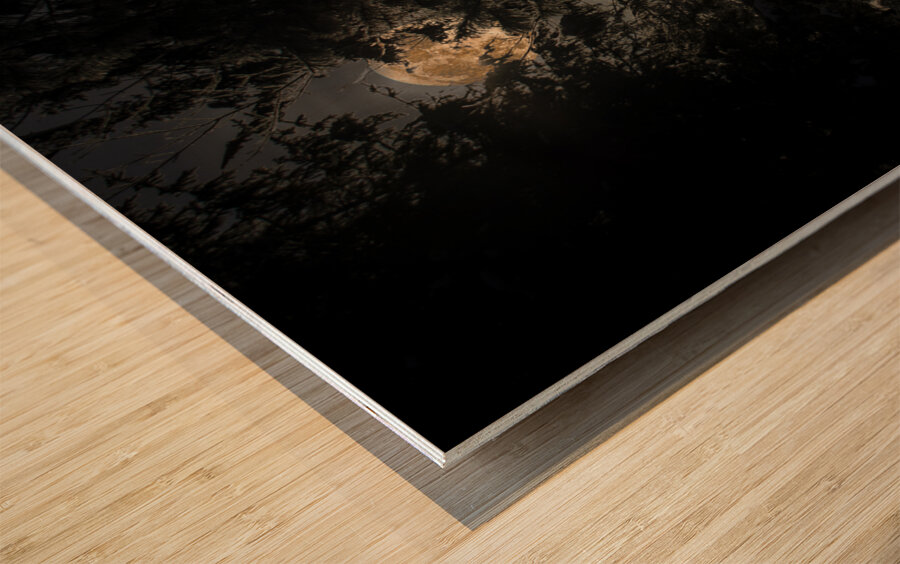 JBS 8757  Wood print