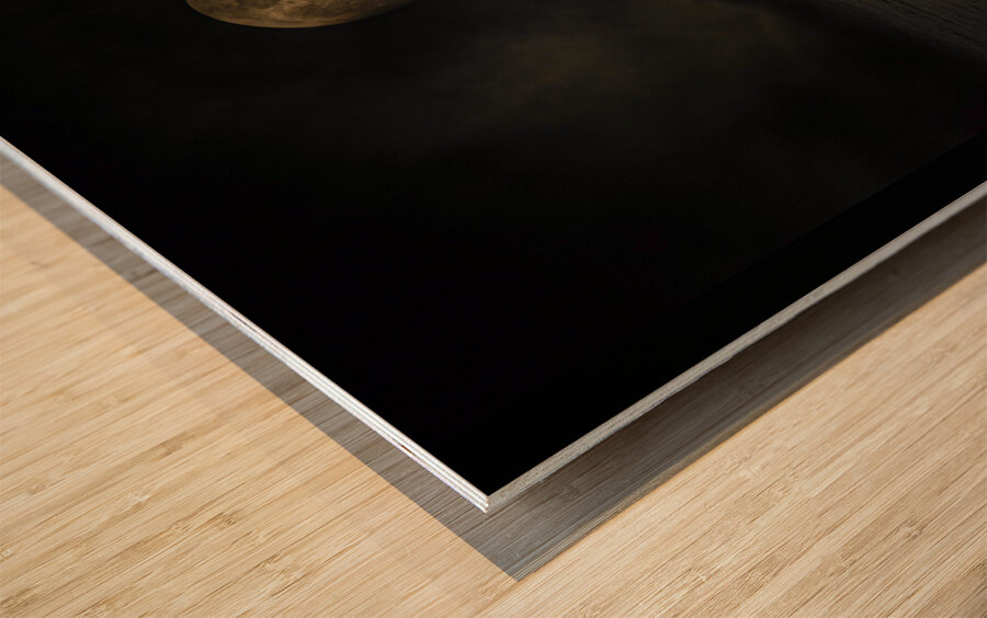 JBS 4030  Wood print