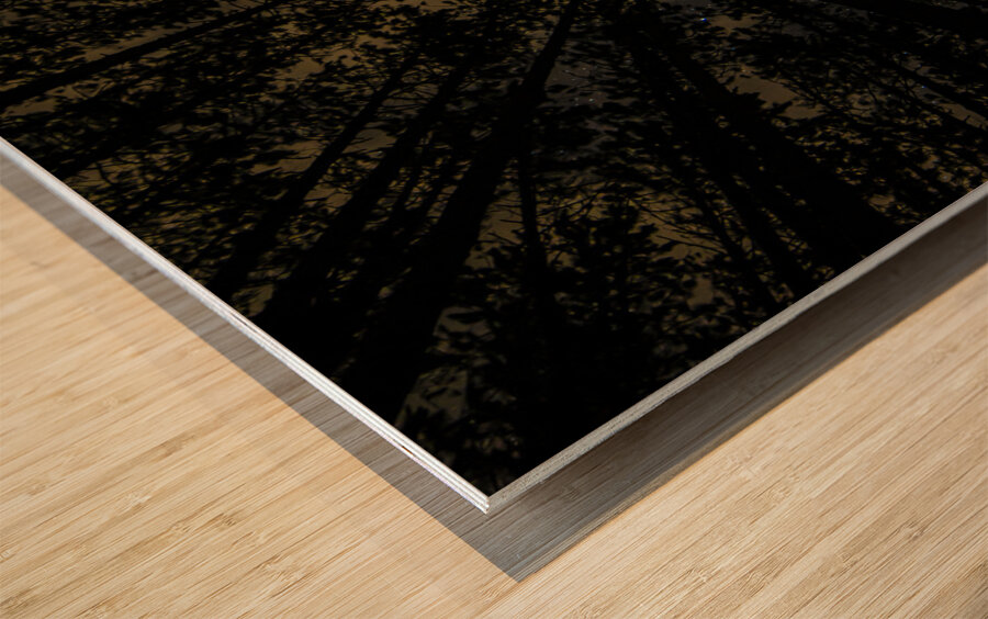 JBS 5549  Wood print