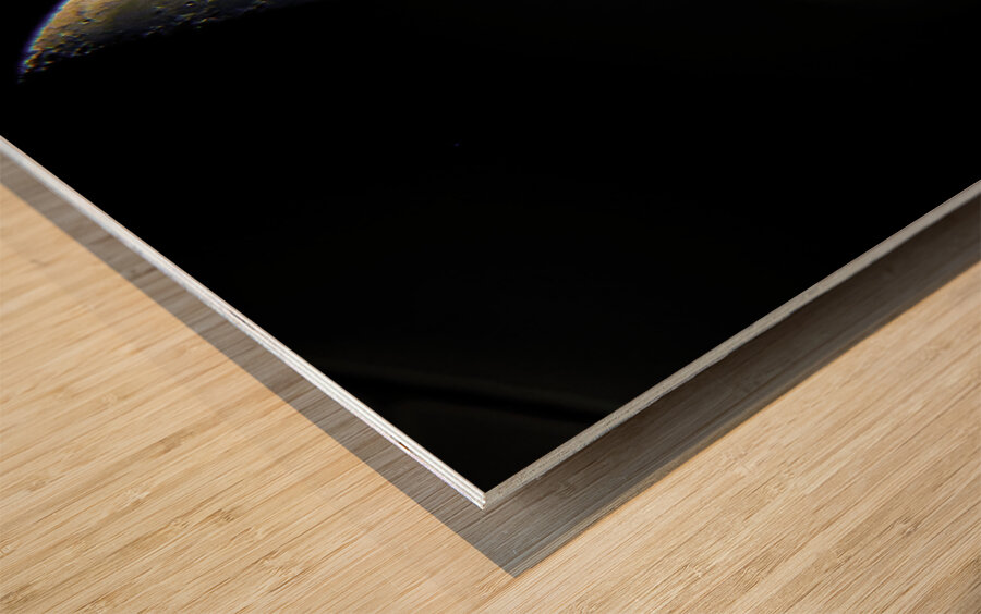 JBS 3686  Wood print