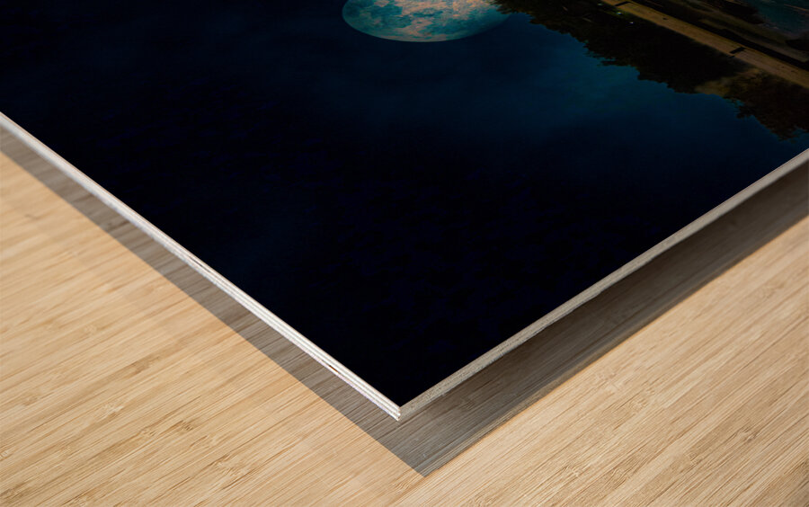 JBS 4708  Wood print