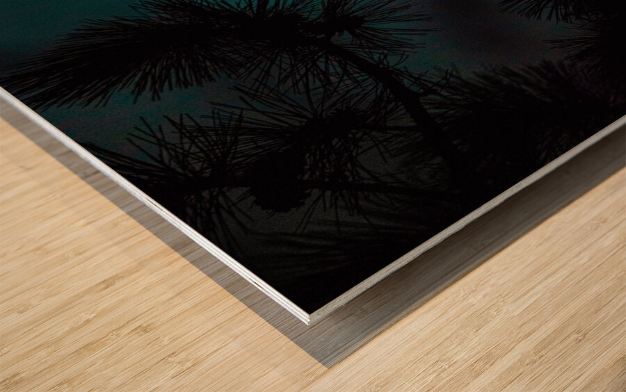 JBS 0093  Wood print