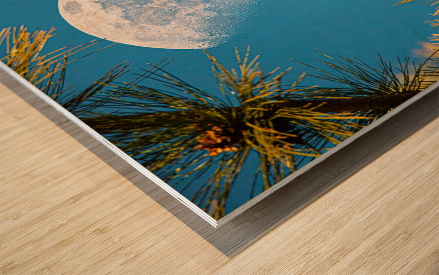 JBS 9958  Wood print