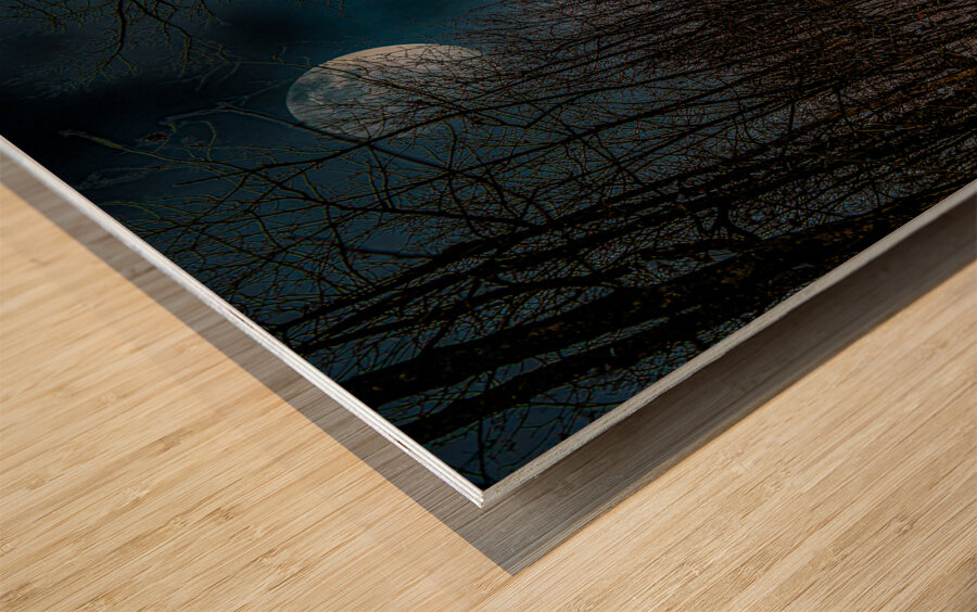 DSC 4175  Wood print