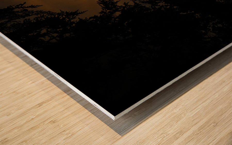 JBS 3573  Wood print