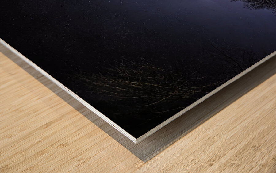 JBS 3472  Wood print