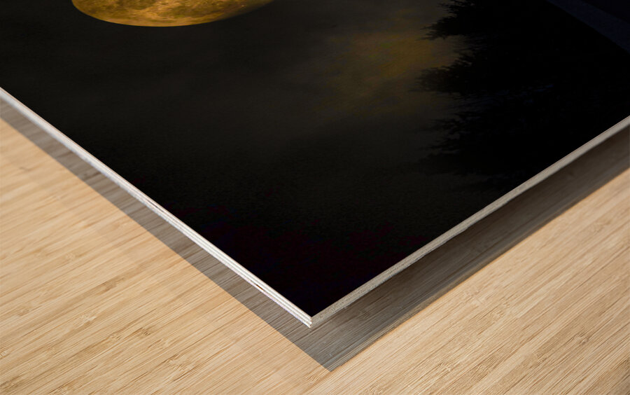 JBS 4093  Wood print