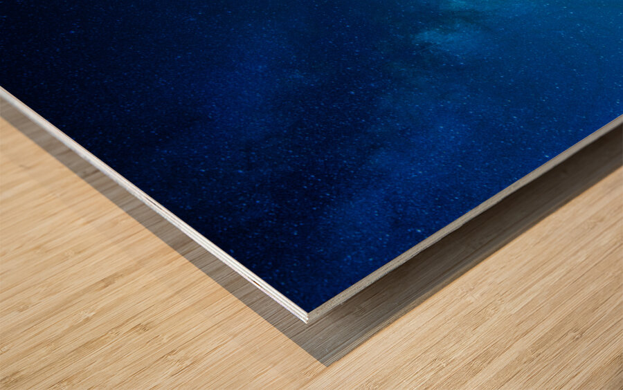 JBS 4810  Wood print