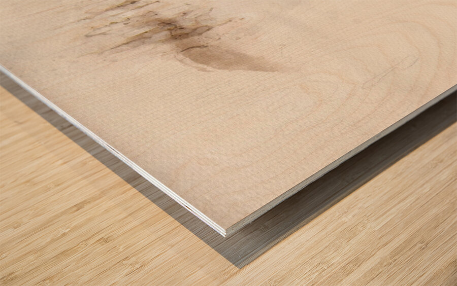 JBS 8846wc Wood print