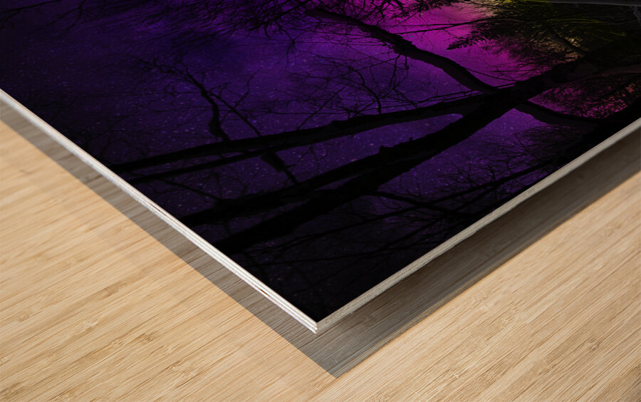 JBS 9933  Wood print