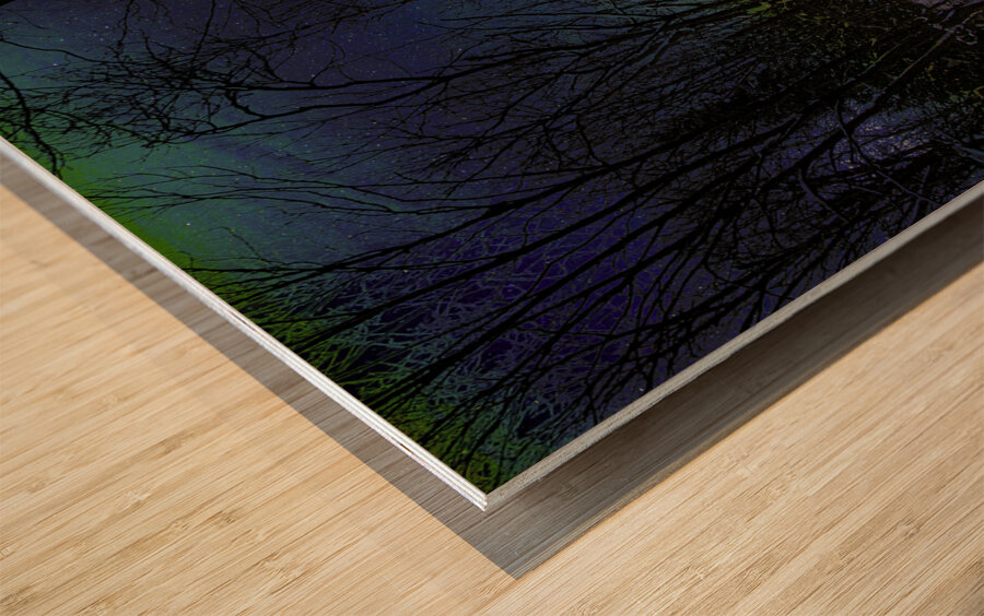 JBS 9952  Wood print