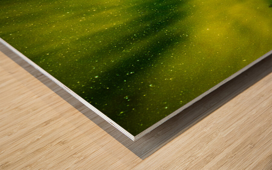 JBS 6014ng  Wood print