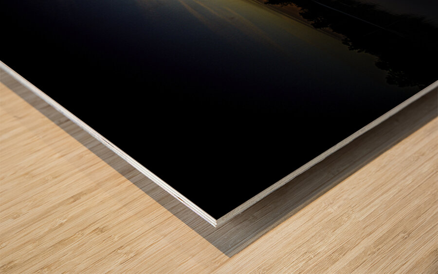 JBS 0703  Wood print