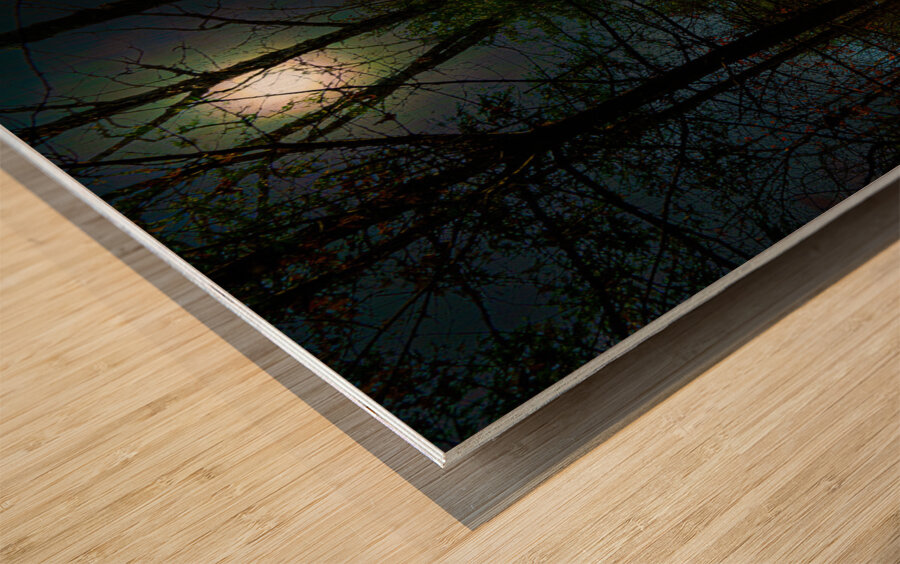 DSC 3665 1 Wood print