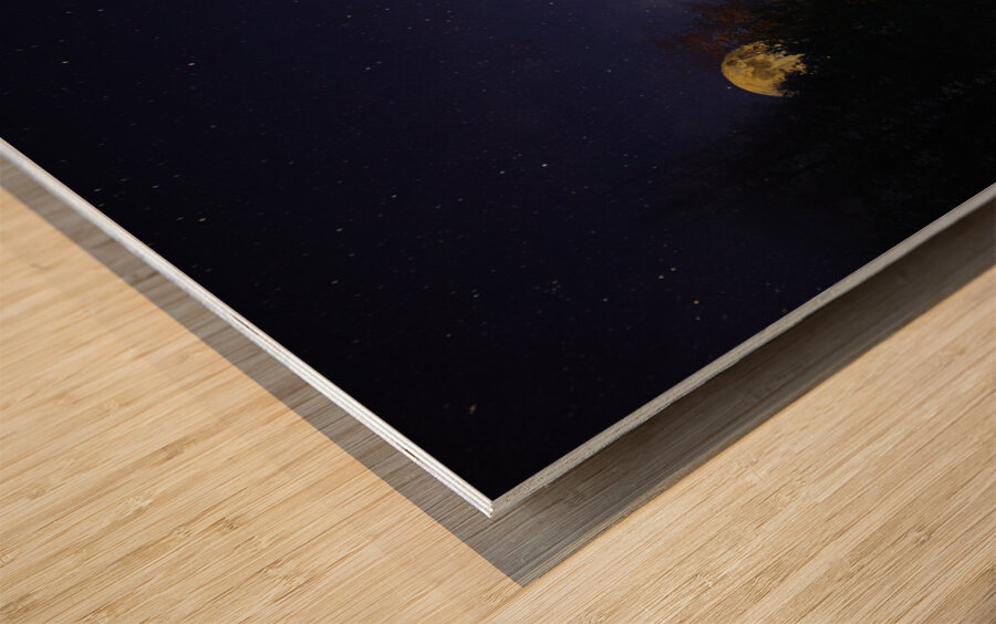 DSC 5763  Wood print