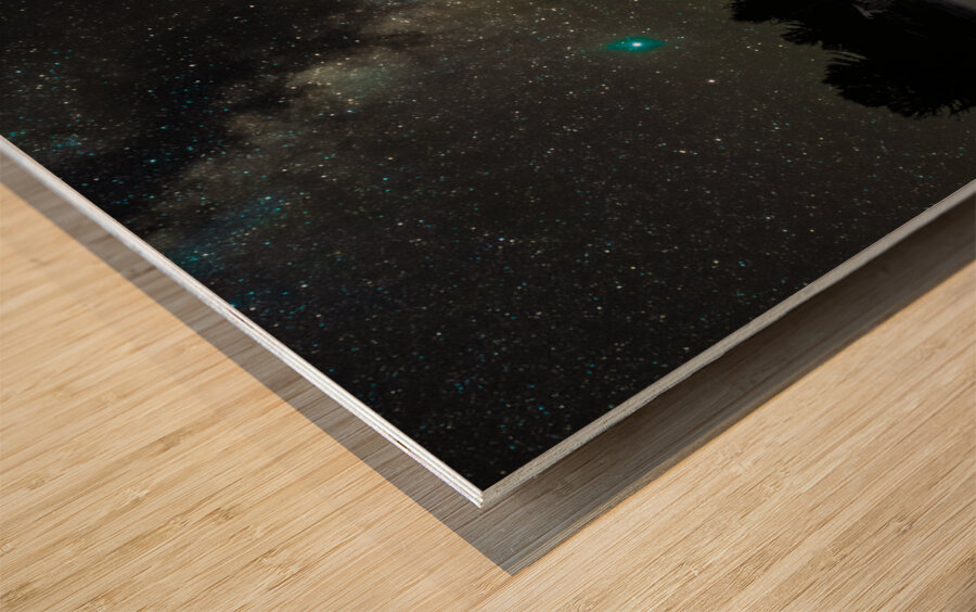 JBS 0650  Wood print