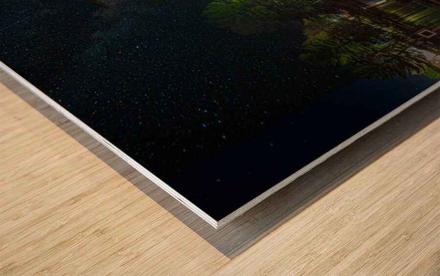 DSC 3542  Wood print