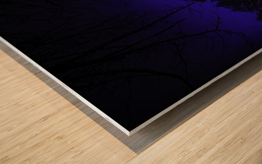 JBS 0689  Wood print