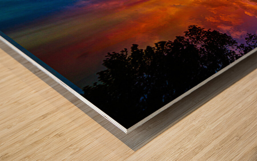 DSC 1829 2  Wood print