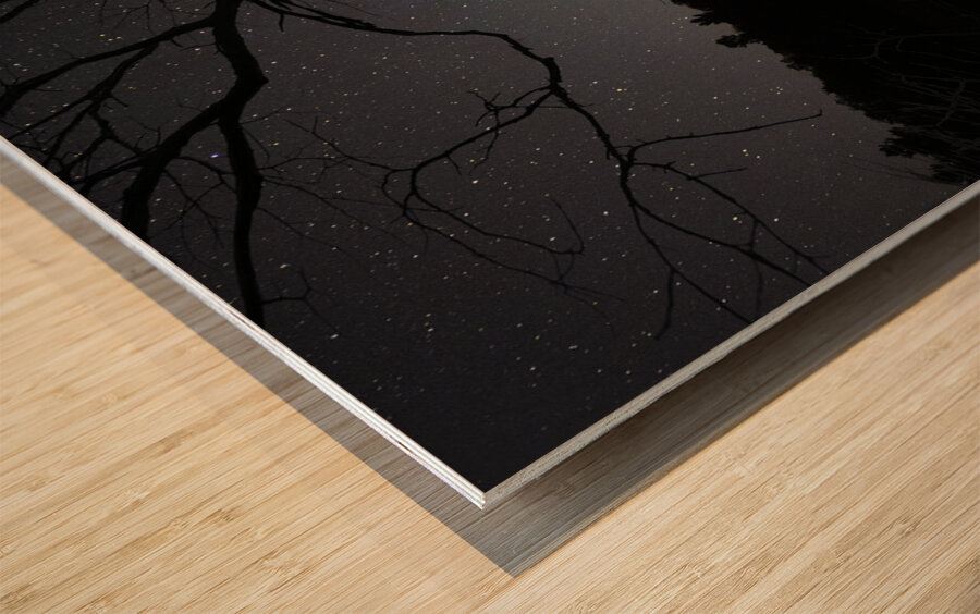 JBS 2415 comet Wood print