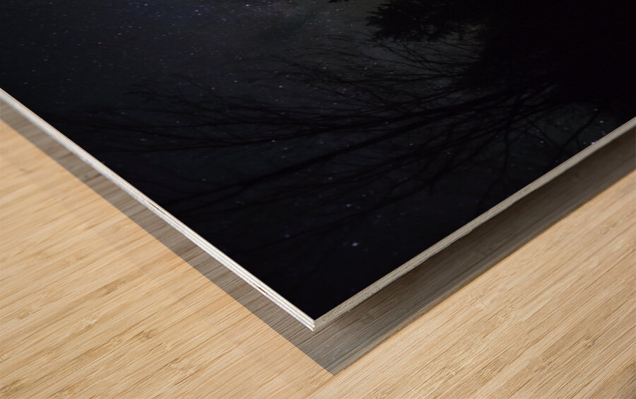 JBS 1342 Pano Wood print