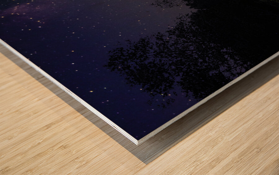 JBS 1513  Wood print