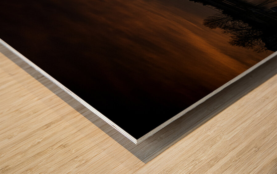 JBS 1149  Wood print