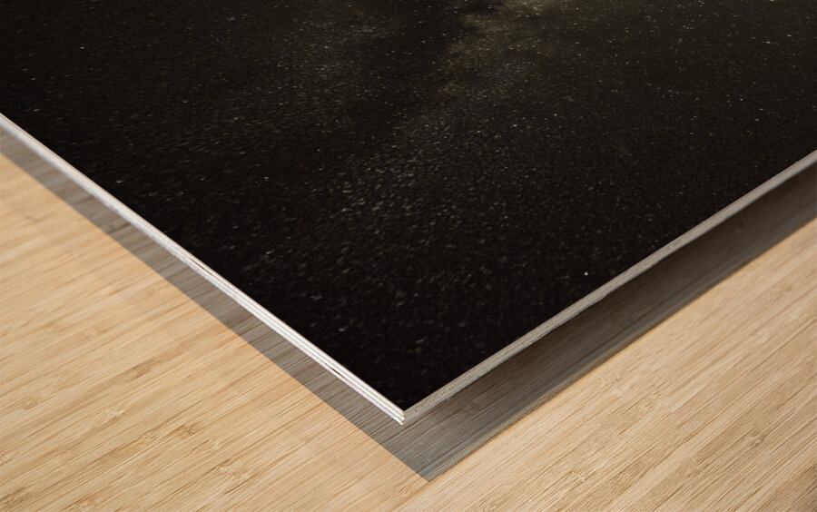 JBS 3602  Wood print