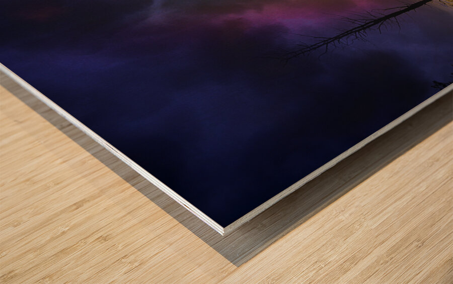 JBS 4292 1 Wood print