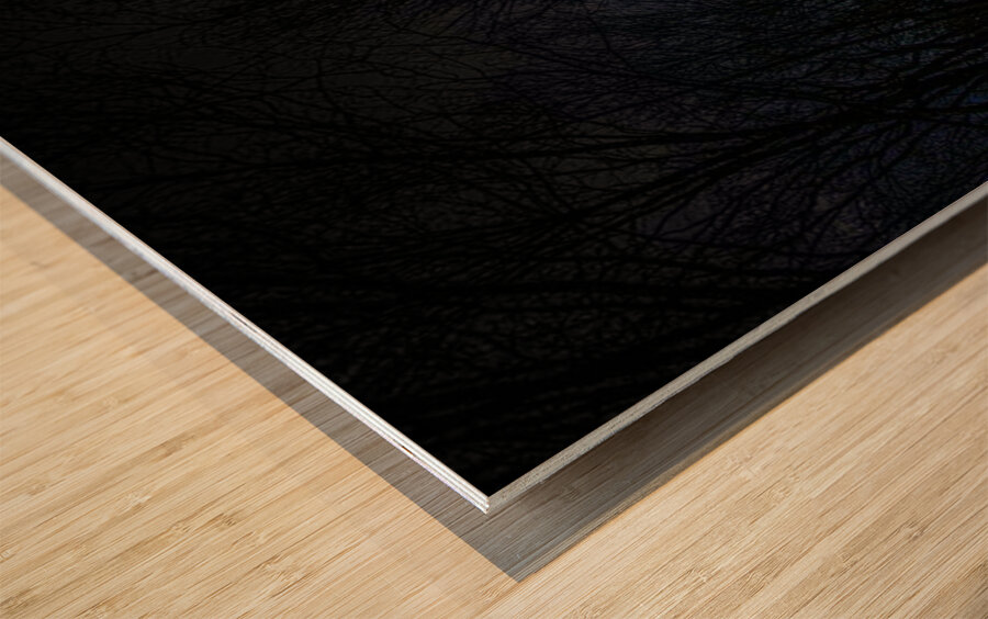 JBS 4841  Wood print