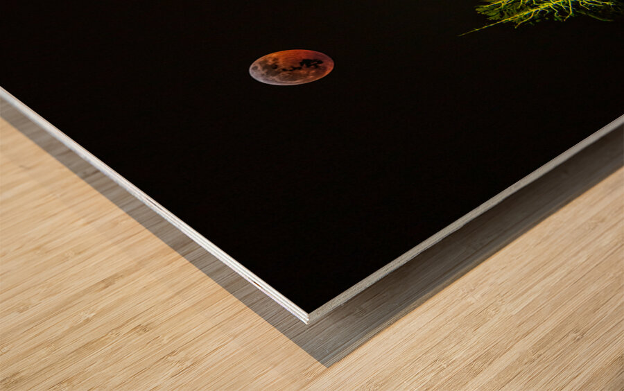 JBS 8023  Wood print