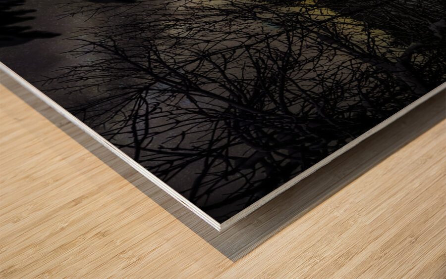 JBS 4554  Wood print