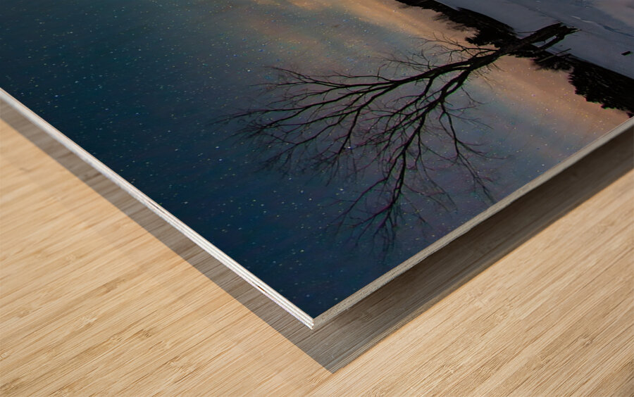 JBS 3992 2 Wood print